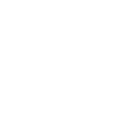 11player